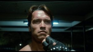 Прекрасный вечер для прогулки. Терминатор. Воолодарский.