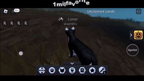 HALLOWEEN WARRIOR CATS CODES 2023 - WARRIOR CATS ULTIMATE EDITION CODES - WCUE CODES