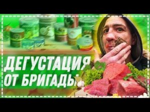 Дегустация Всей Бригадой Тушёнка с Королевства / Ёлы - Палы Показал Кухню