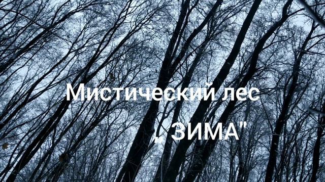 Местический лес смотреть онлайн
