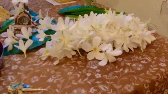 ??Утренняя пуджа. Говардхан. 2022.08.07 смотреть онлайн