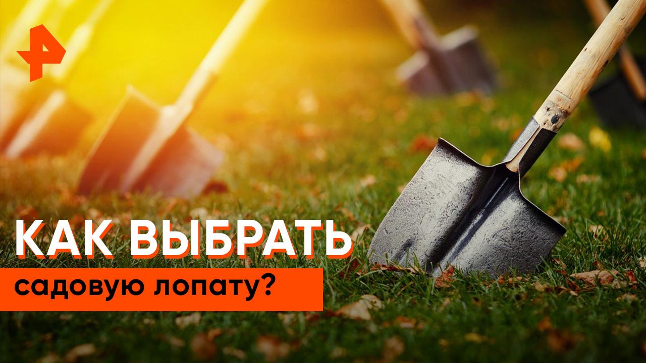 Как выбрать садовую лопату? — Самая полезная программа смотреть онлайн