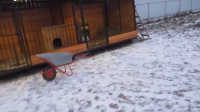 Лайки в рождество смотреть онлайн