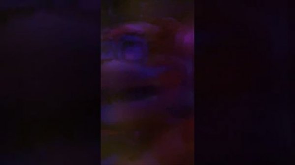 Way! To Go! Superstar!