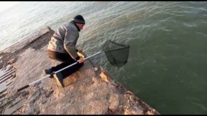 Азовское море- ловим креветку. Ейск 2020
