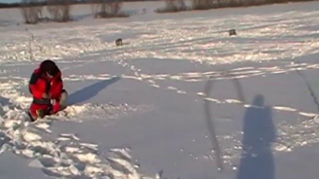 сорочка 12.01.14 смотреть онлайн