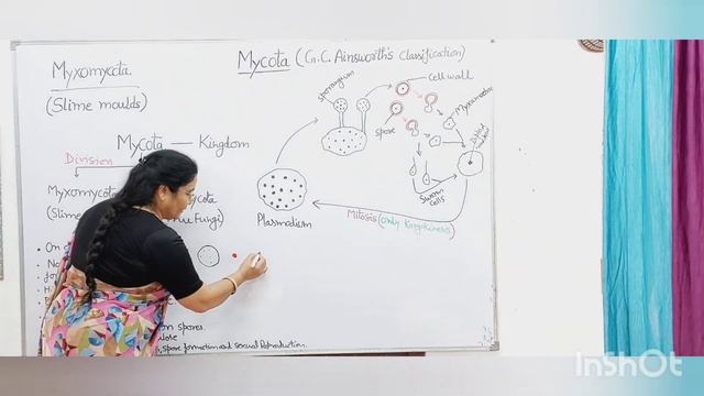 B.SC. I SEMESTER - UNIT IV - MYCOLOGY - MYXOMYCOTA (SLIME MOULD)
