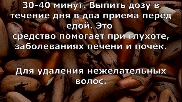 Кедр и кедровые орешки кладезь народной медицины смотреть онлайн