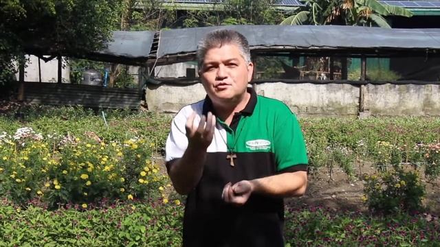 Vermicomposting смотреть онлайн