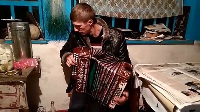 Потап Винник Найкращий день и полька на гармони смотреть онлайн