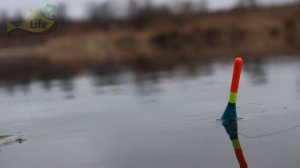 Как и где ловить крупную плотву в марте? Секреты ловли плотвы весной от профессионала.