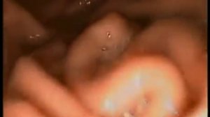 ▼Процесс Пищеварения▼|▼Process Pishhevarenija▼