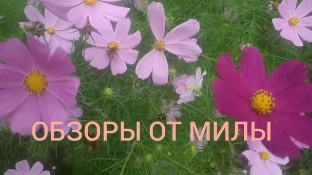Алешка-картошка и Деревенский дневник очень многодетной мамы. смотреть онлайн