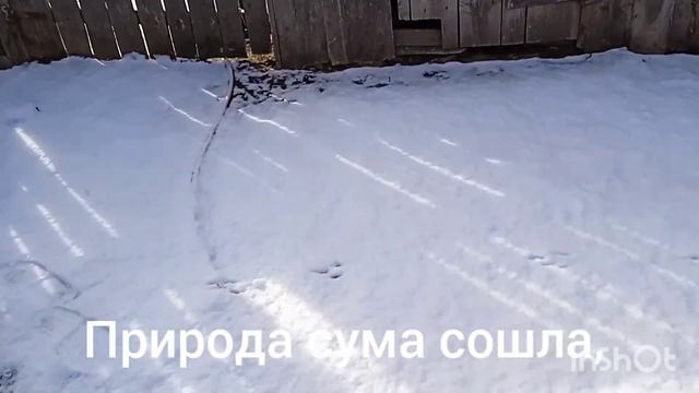 536-30.04.23г.-01.05.23.г Моя?деревенская ?жизнь????. С праздником всех. ????? смотреть онлайн