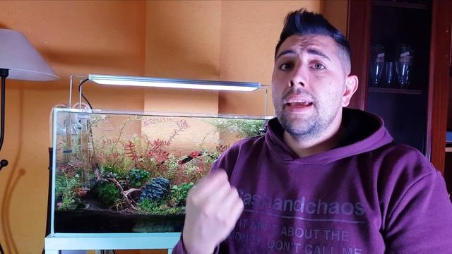 Qué es y para que se utiliza Envy Aquavitro Seachem || AQUASCAPELAND смотреть онлайн
