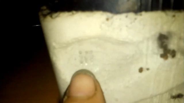 🔸Мой первый формикарий🔹 смотреть онлайн