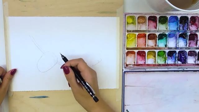 1 2 Ботаническая иллюстрация Желудь Рисунок карандашом смотреть онлайн