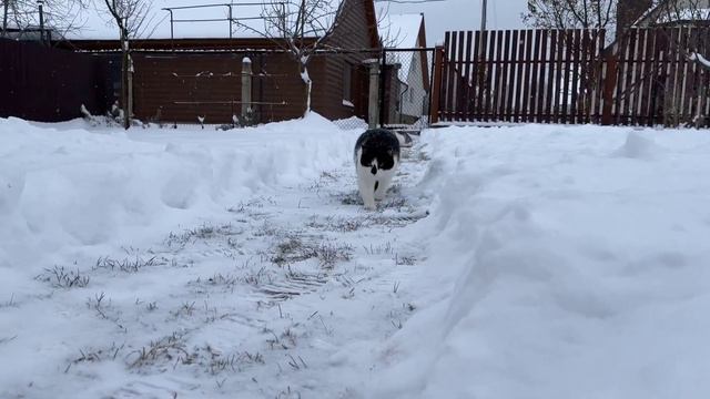 Первый снег А ну-ка Давай-ка минус @anykadavaika смотреть онлайн