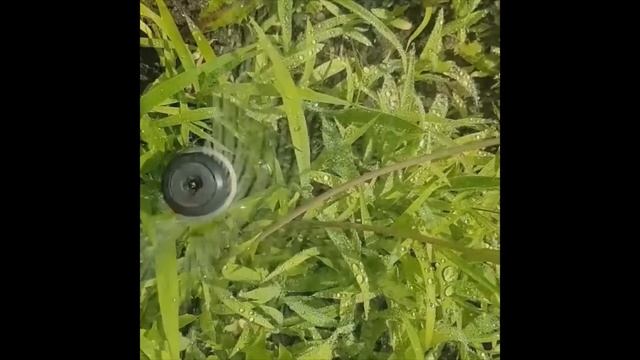 MP ROTATOR Hunter диагностика и время замены смотреть онлайн