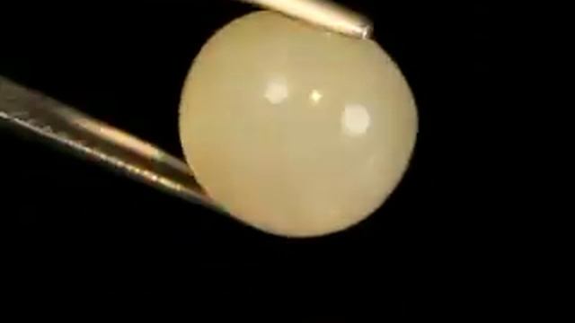 Натуральный Лунный камень с эффектом кошачьего глаза 6.10 карат Артикул: 22917 цена: 1810 руб смотреть онлайн