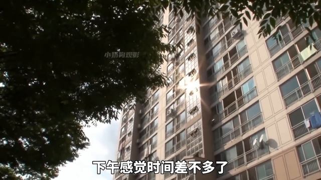 貓咪從出生起就以站立姿勢生活，還會看電視和監督女主人洗碗，得知真相女主人卻悔不當初【小奶狗觀影】 смотреть онлайн