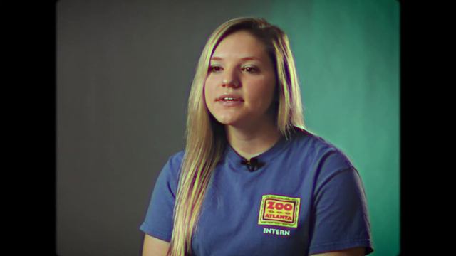 Become a Zoo Atlanta Intern смотреть онлайн
