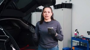 КАК И ЧЕМ УБРАТЬ ШЕРСТЬ В САЛОНЕ АВТО? ОБЗОР СПОСОБОВ, ХИМИИ И ЛАЙФХАКИ