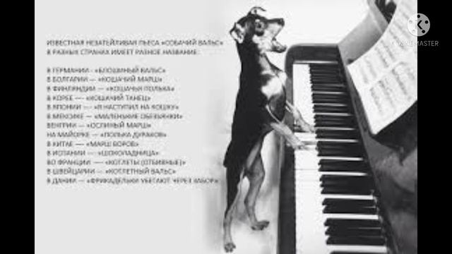 Собачий вальс на пианино смотреть онлайн
