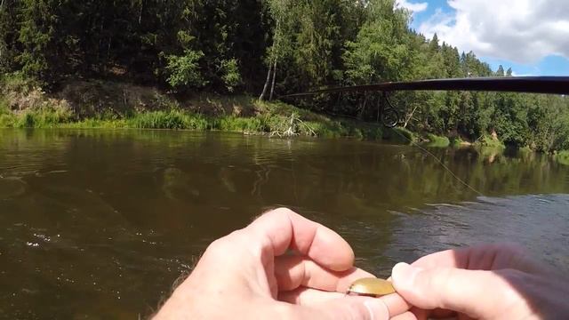 Хариусы, голавли ... - на вертушки. Спиннинг на течении. смотреть онлайн