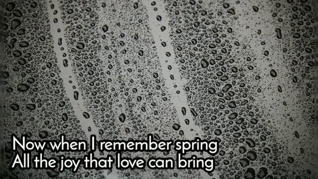 The Shadow Of Your Smile - Andy Williams Lyrics