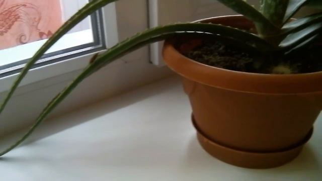 СтройСоветы