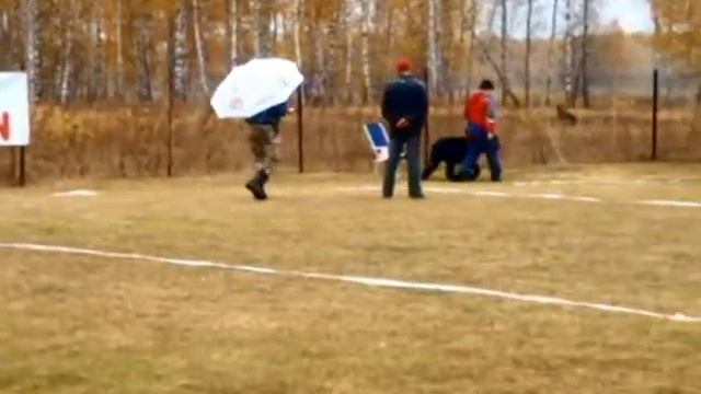 СОРЕВНОВАНИЯ по ОКД ЗКС 24 сент 2011 НОВОСИБИРСК смотреть онлайн