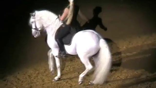 Apassionata: Andalusian Stallion Finale смотреть онлайн