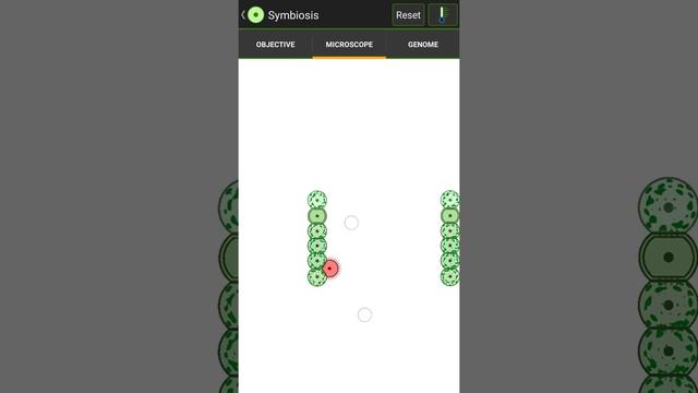 Cell Lab: Symbiosis walkthrough - updated + annotations - basic mechanics of solution смотреть онлайн