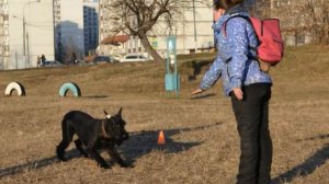 СДП «Орехово» ризены Фин и Цунами