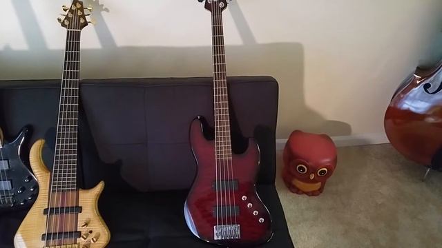 Bass Collection: Ibanez, Schecter, And Warrior