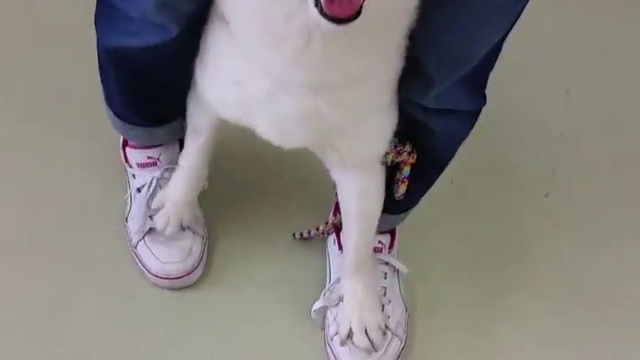 Трам пам пам))) смотреть онлайн