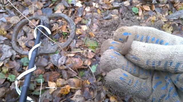 Поиск монет #37: Квазар ARM в лесу смотреть онлайн