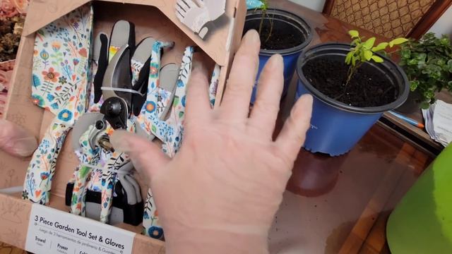 САЖАЮ ГОЛУБИКУ/ СЕЮ ЦВЕТЫ/ США/ смотреть онлайн