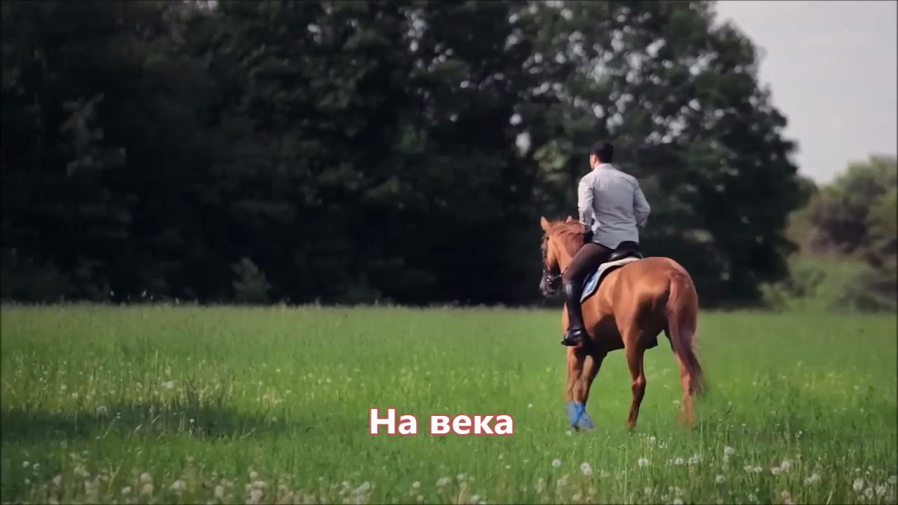 Сергей Куренков - На века (NEW 2017)