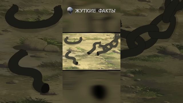 Самое время вспомнить про РУССКИХ богатырей? смотреть онлайн