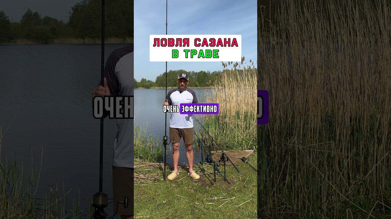 Как ловить карпа в траве? #карпфишинг смотреть онлайн