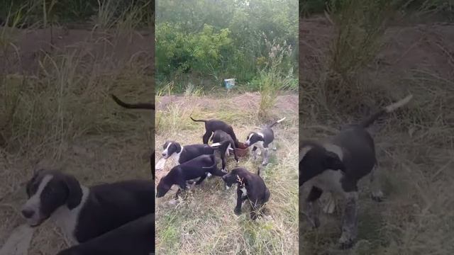video5339558476882394162 1 смотреть онлайн