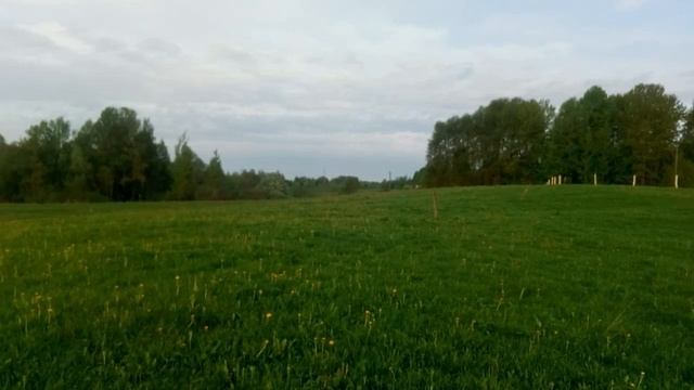 ТИХОЕ ДЕРЕВЕНСКОЕ УТРО  Релаксация