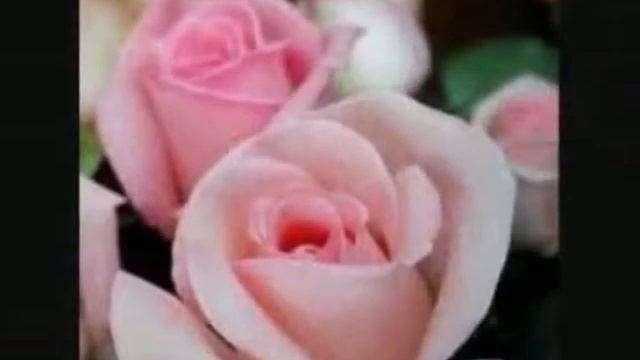 Jesus Diaz De Leon Tejeda - Java Nagila смотреть онлайн