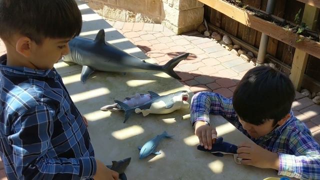 Kids Playing with Underwater Sea Battle Toys смотреть онлайн