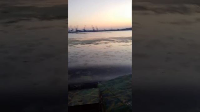 на утренний клев смотреть онлайн