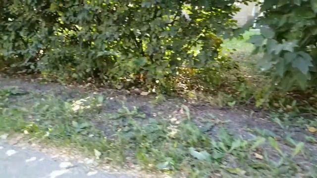 Нижний Новгород, вид снизу. Веденяпина 14а - 20 смотреть онлайн