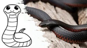 Звуки шипения змеи | Звук змеи | Как поживает змея? | Шипение змеи