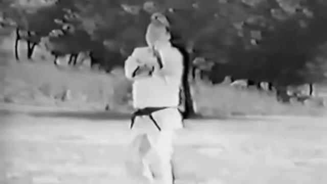Hapkido Kwang Shik Mung Part 1